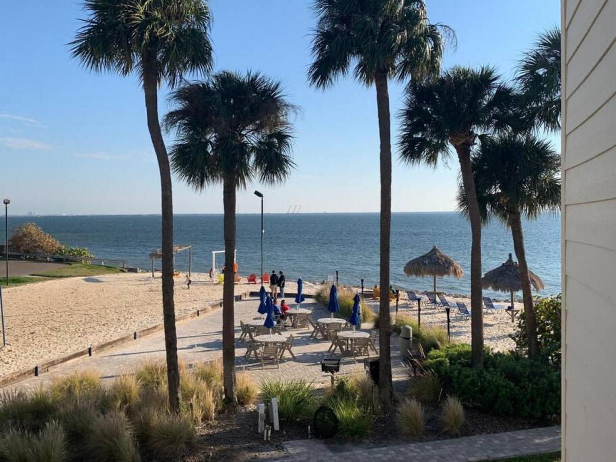 Bay Views From Your Balcony Beach Resort تامبا المظهر الخارجي الصورة