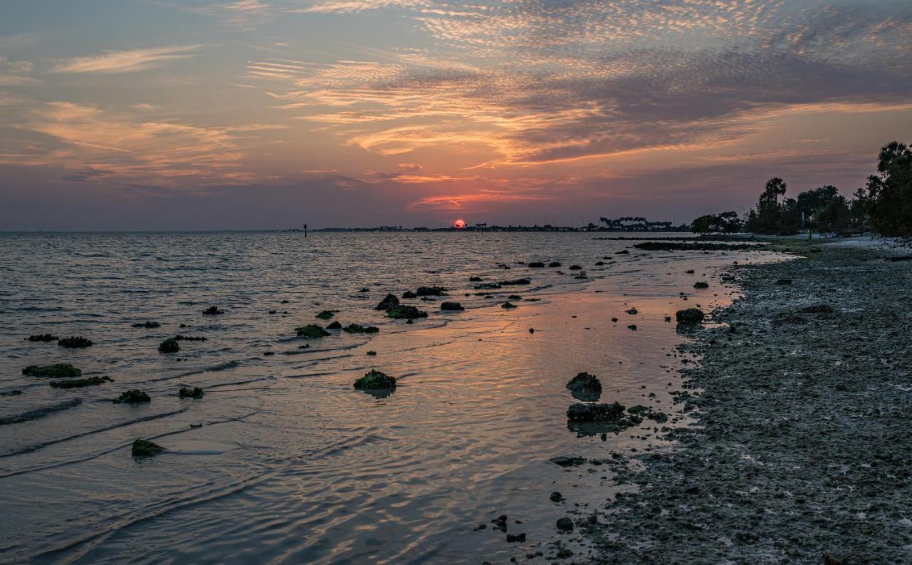 Bay Views From Your Balcony Beach Resort تامبا المظهر الخارجي الصورة